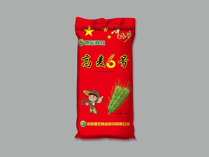 高麦6号