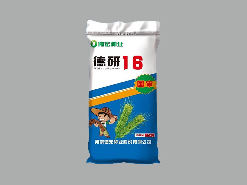 德研16籽粒饱满